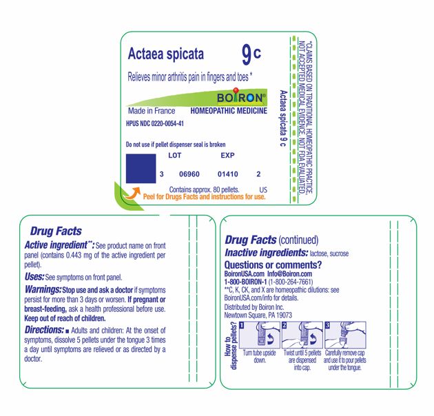 Pill image for Actaea Spicata 9c