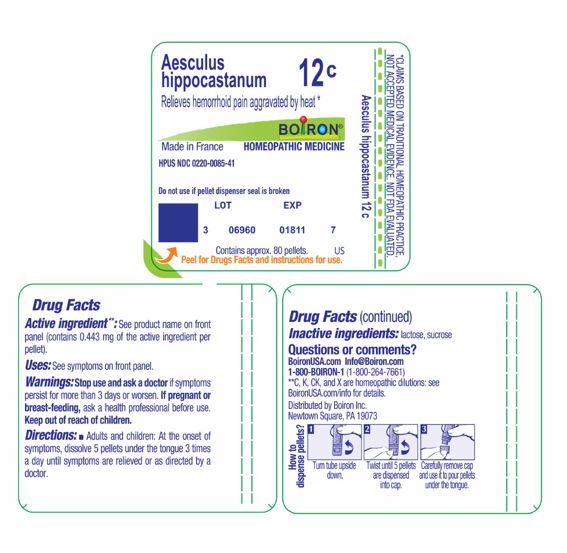 Pill image for Aesculus Hippocastanum 12c