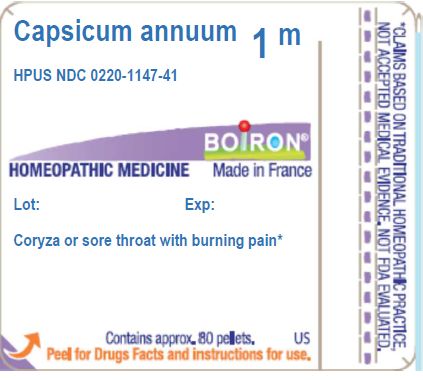 Pill image for Capsicum Annuum 1m