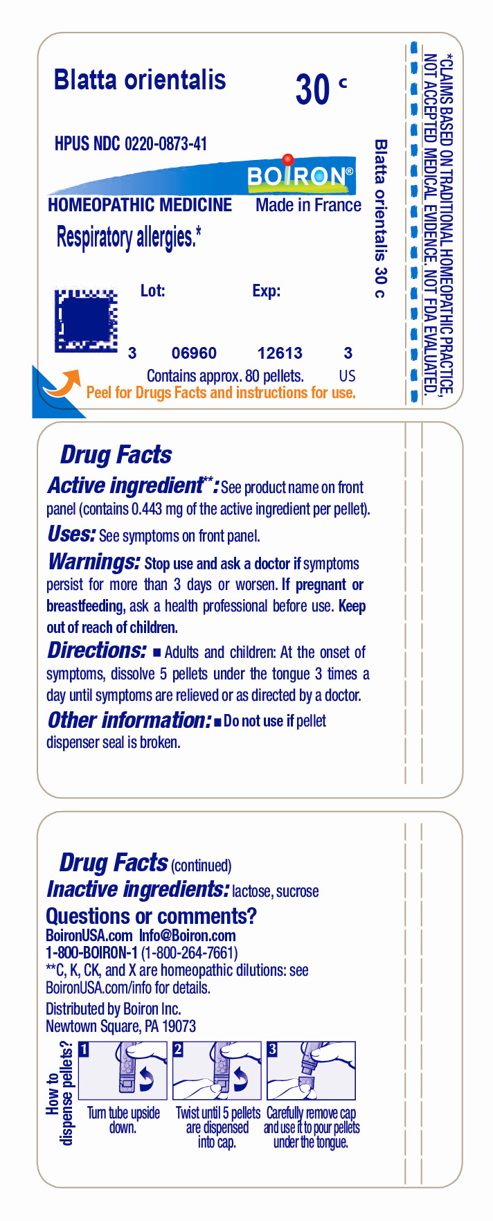 Pill image for blatta orientalis 30c