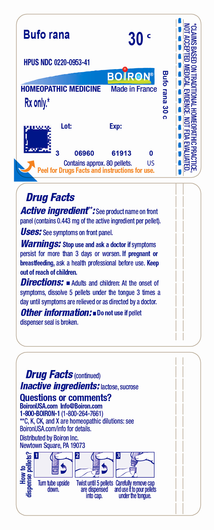 Pill image for Bufo Rana 30c