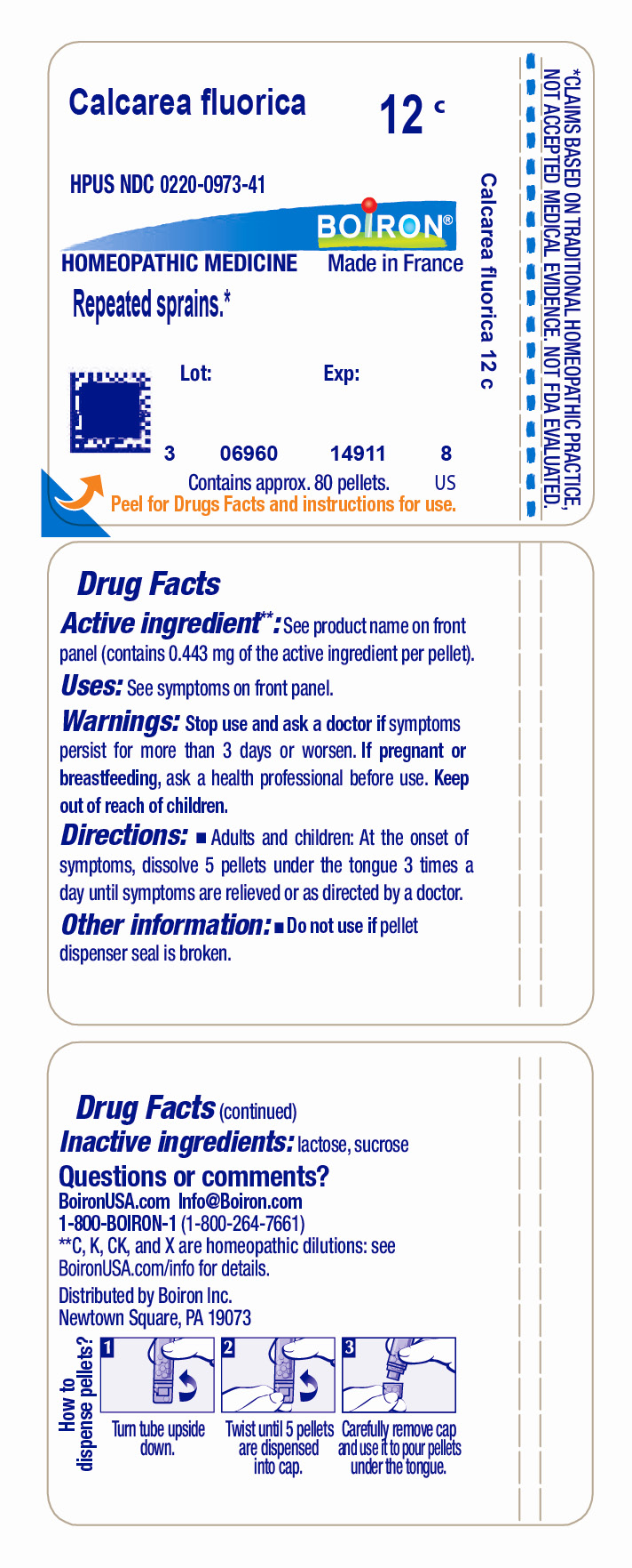 Pill image for Calcarea Fluorica 12c