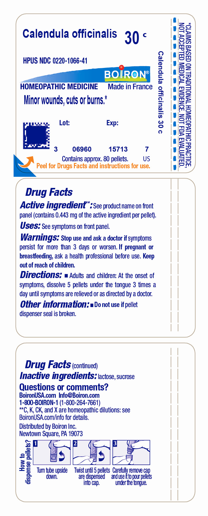 Pill image for Calendula Officinalis 30c