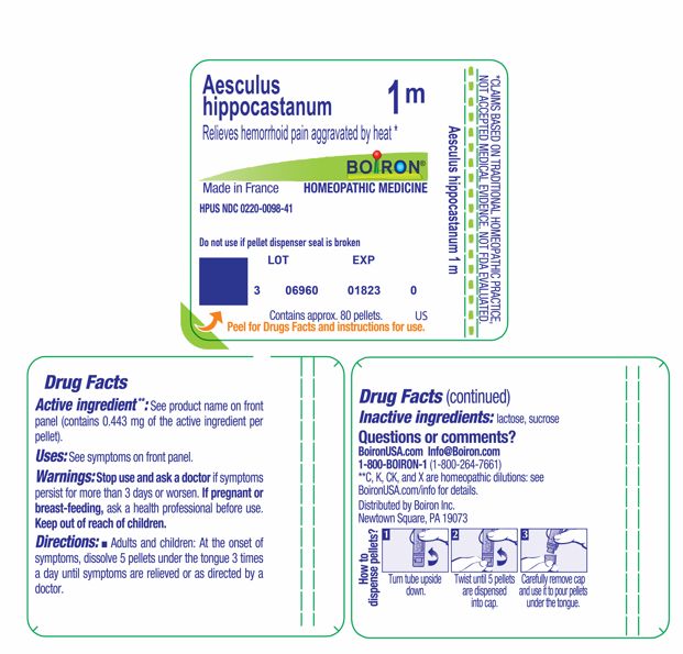 Pill image for Aesculus Hippocastanum 1m