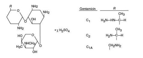Pill image for Gentamicin Sulfate