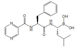 Pill image for These Highlights Do Not Include All The Information Needed To Use bortezomib For Injection Safely And Effectively. See Full Prescribing Information For Bortezomib For Injection.