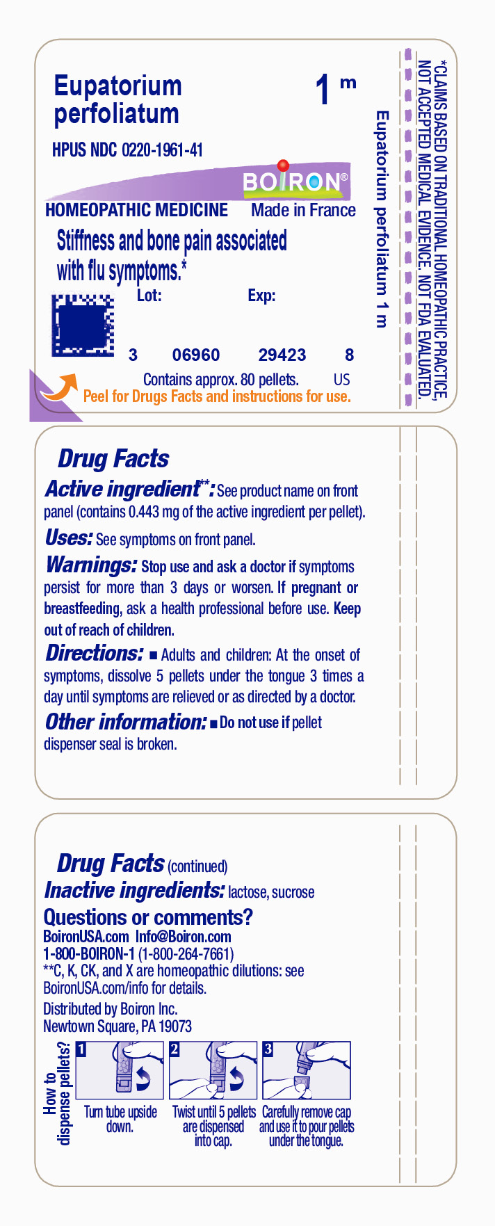Pill image for Eupatorium Perfoliatum 1m