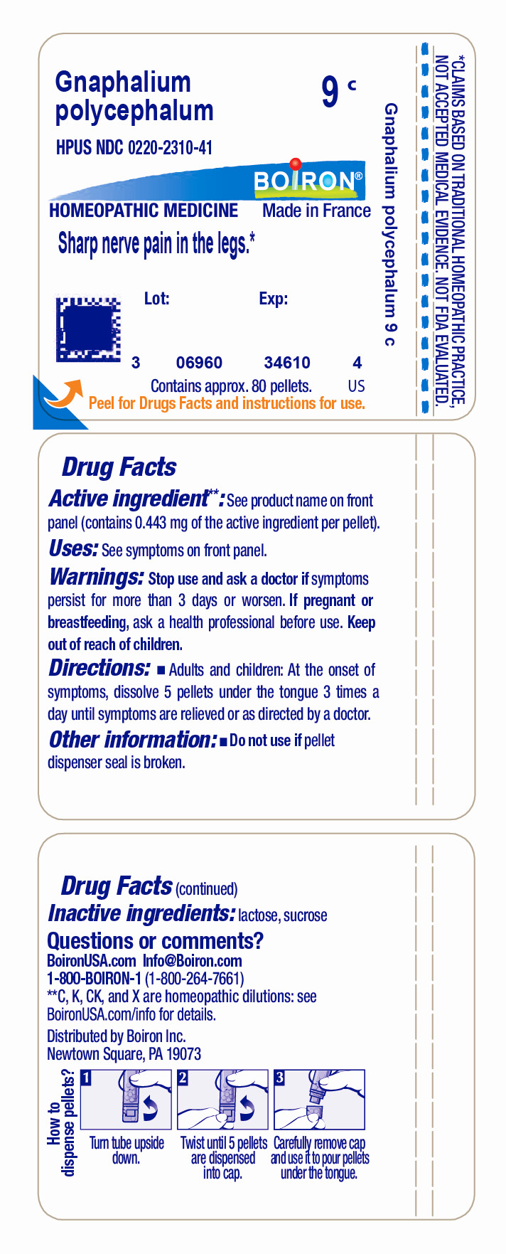 Pill image for Gnaphalium Polycephalum 9c