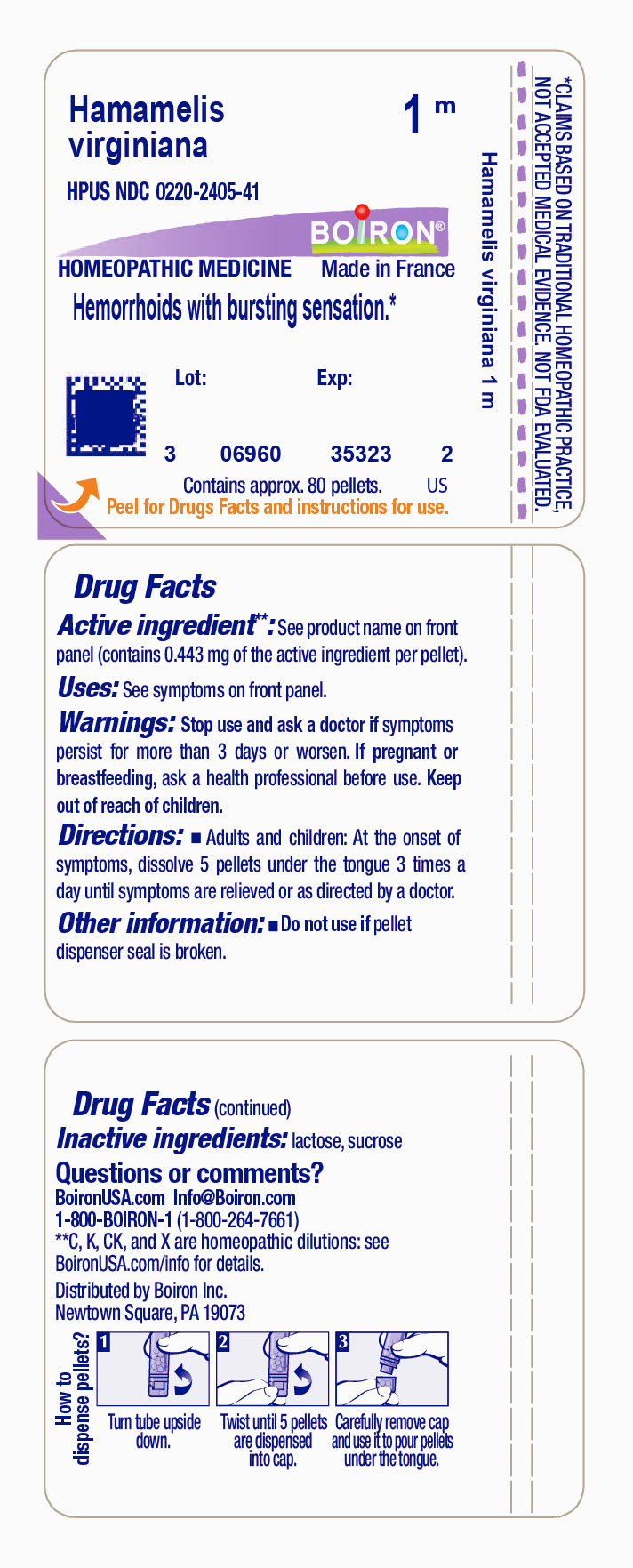 Pill image for Hamamelis Virginiana 1m