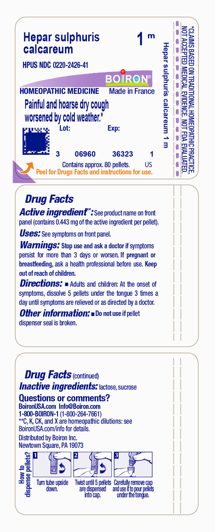 Pill image for Hepar Sulphuris Calcareum 1m