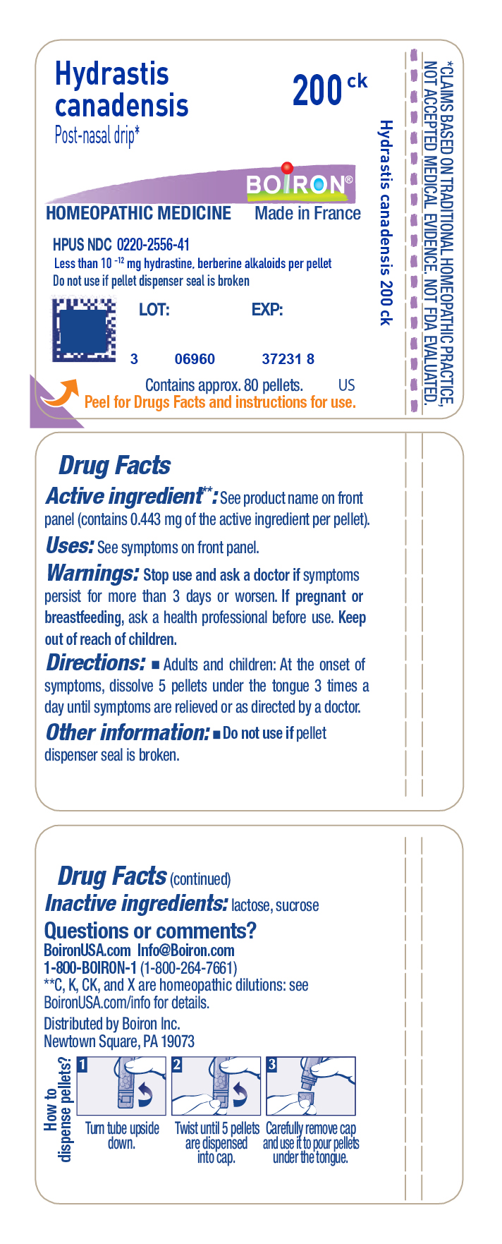 Pill image for Hydrastis Canadensis 200ck