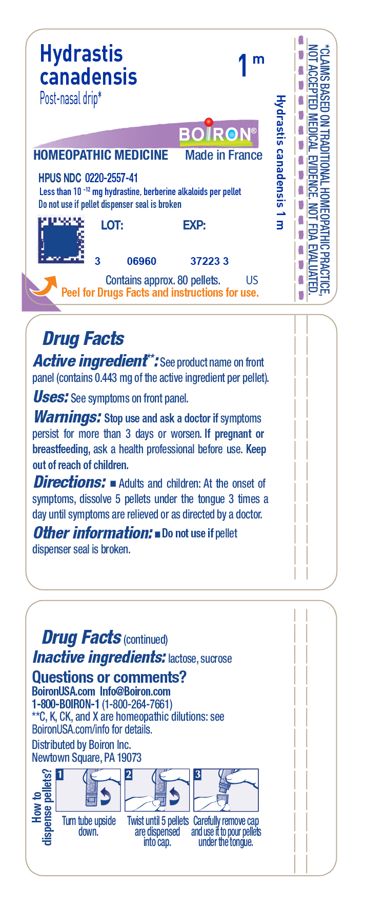 Pill image for Hydrastis Canadensis 1m