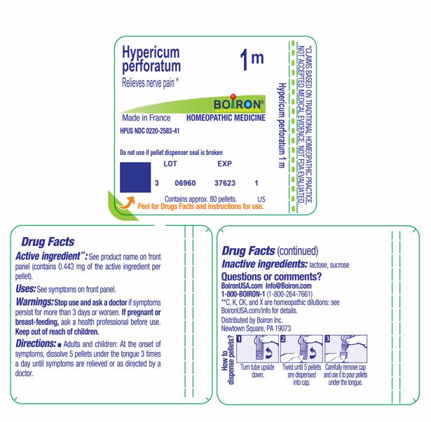 Pill image for hypericum perforatum 1m