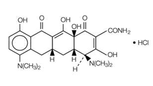 Pill image for These Highlights Do Not Include All The Information Needed To Use Minocycline Hydrochloride Extended-release Tablets Safely And Effectively. See Full Prescribing Information For Minocycline Hydrochloride Extended-release Tablets.