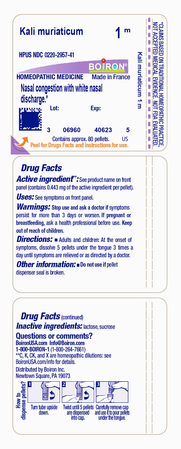 Pill image for Kali Muriaticum 1m