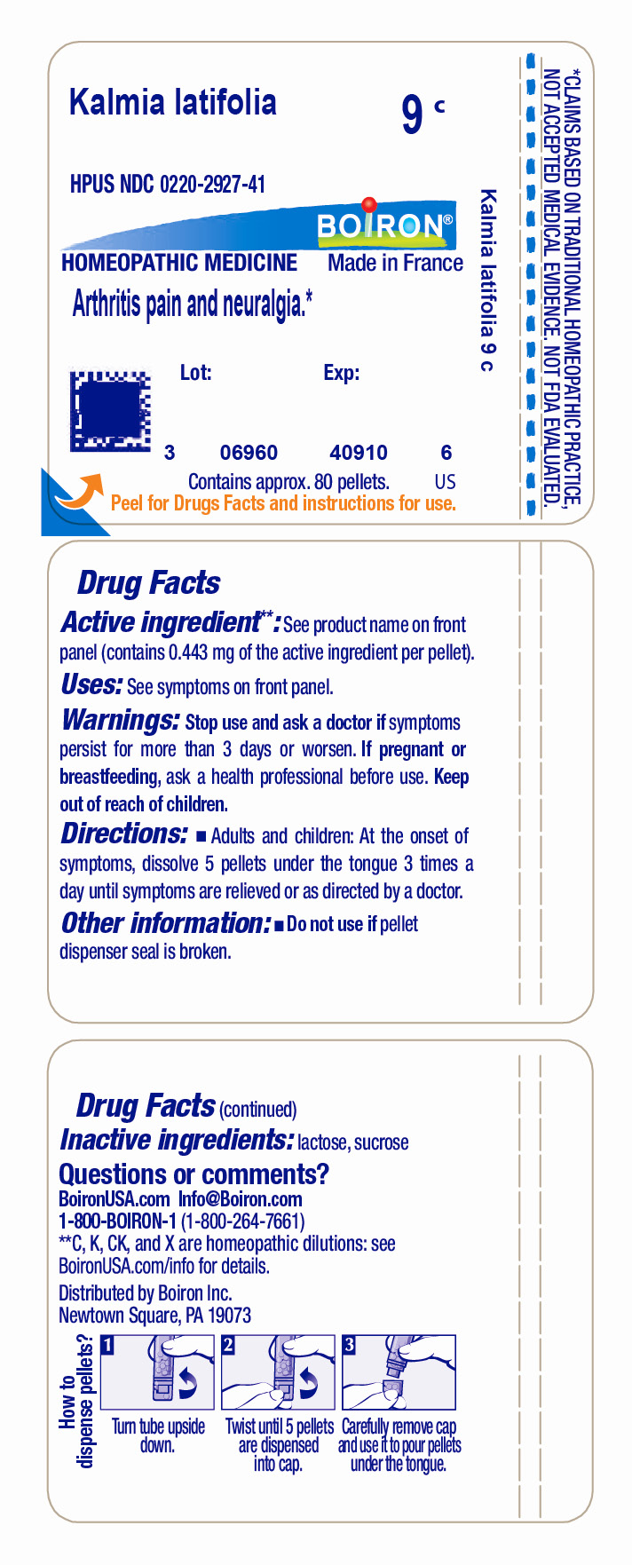Pill image for kalmia latifolia 9c