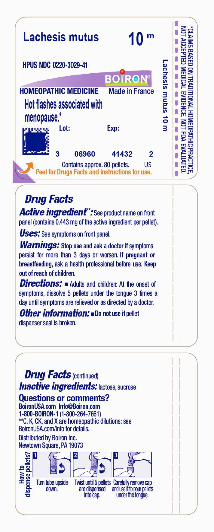 Pill image for Lachesis Mutus 10m