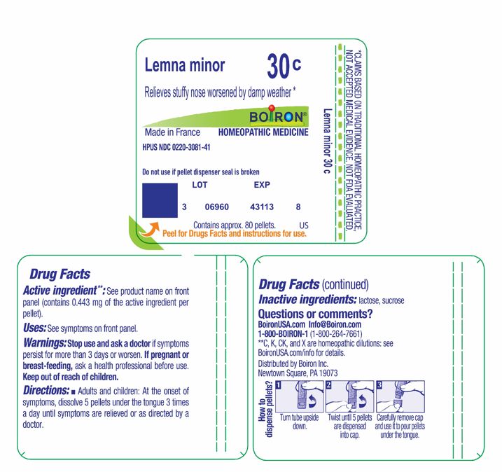 Pill image for lemna minor 30c