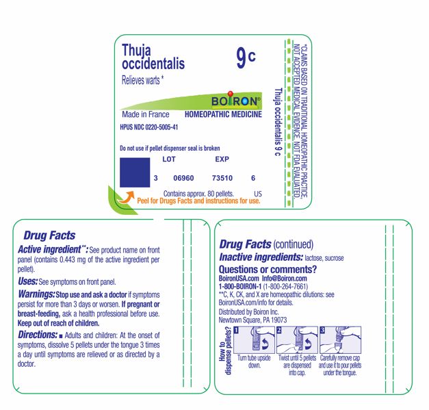 Pill image for Thuja Occidentalis 9c