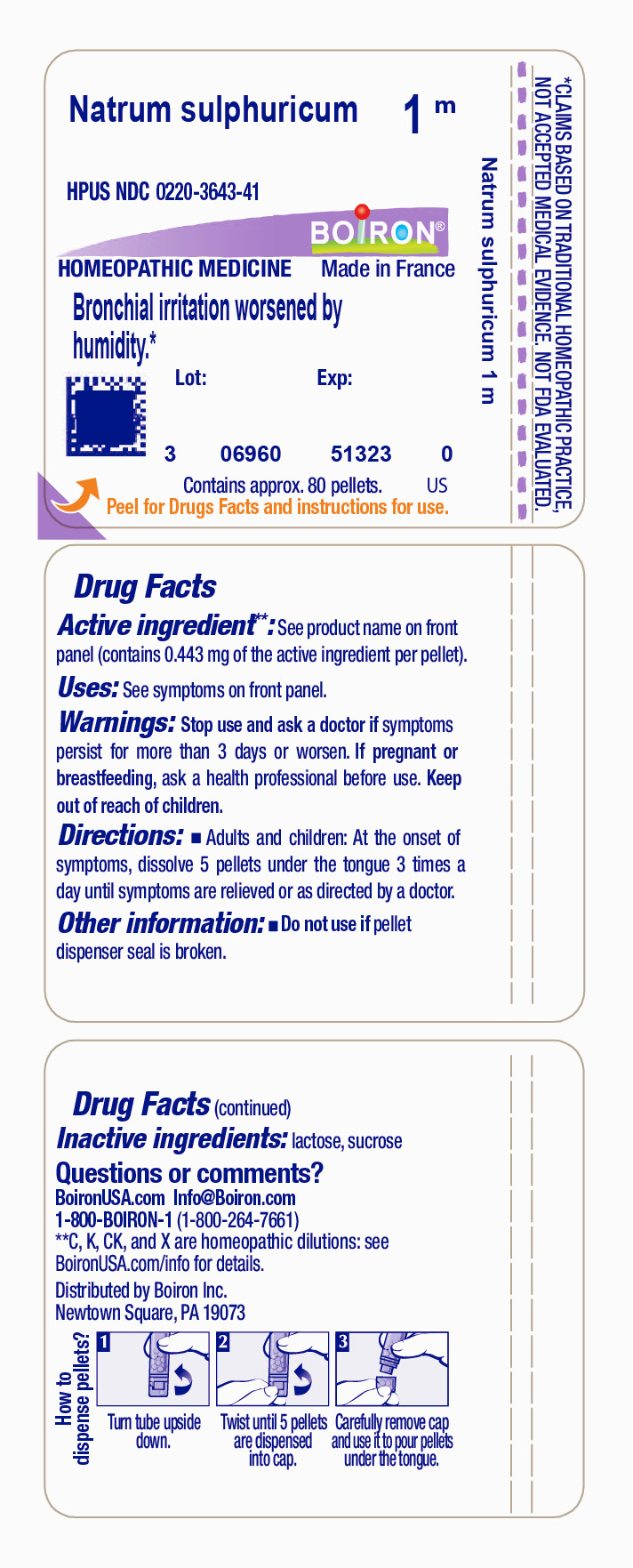 Pill image for Natrum Sulphuricum 1m