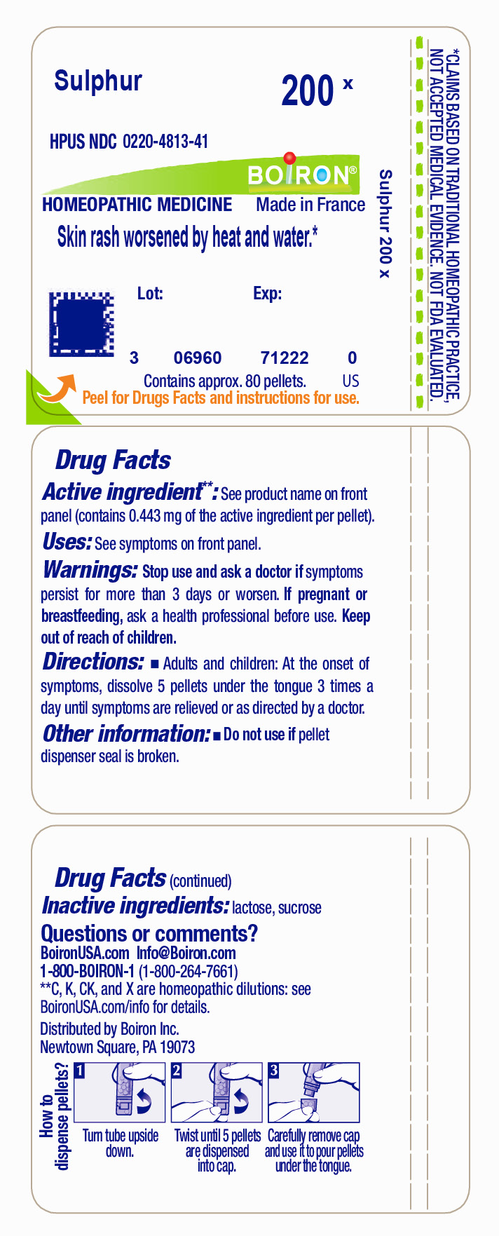 Pill image for Sulphur 200x