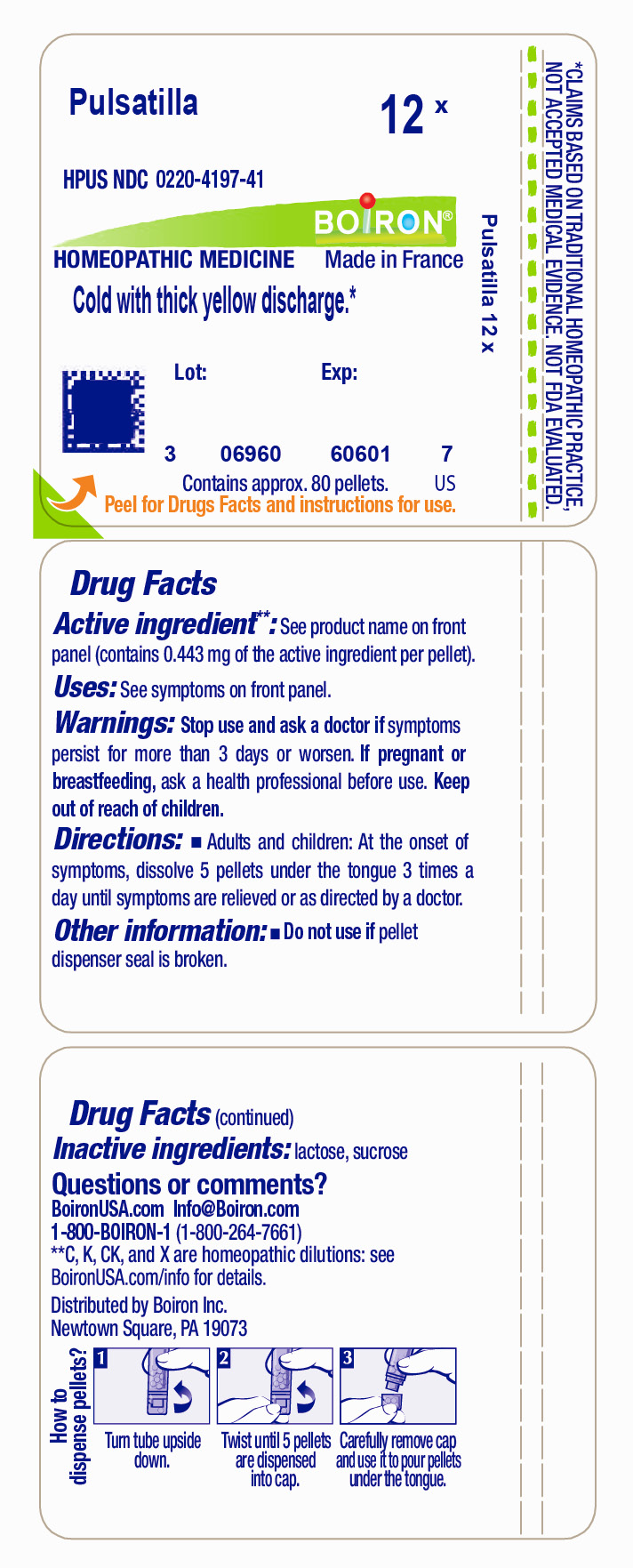 Pill image for Pulsatilla 12x