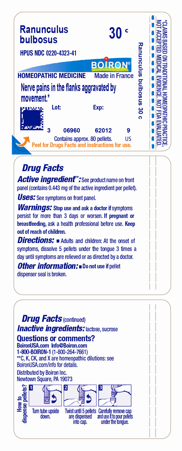 Pill image for ranunculus bulbosus 30c