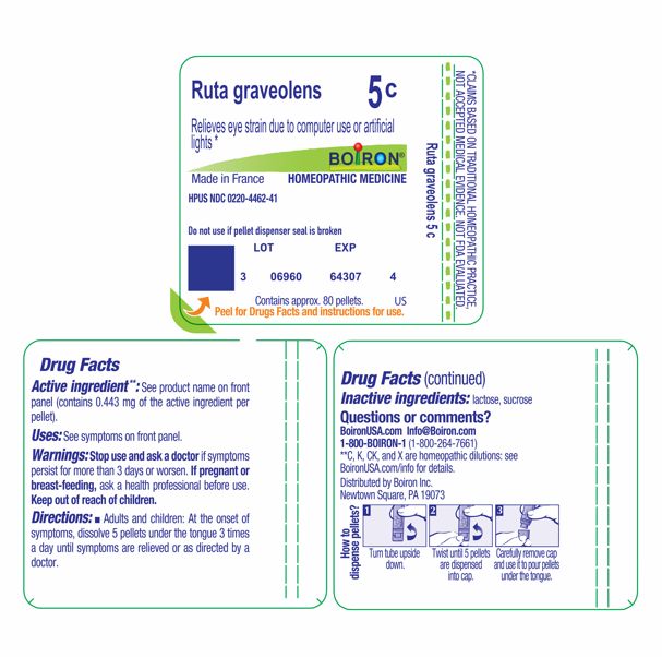 Pill image for Ruta Graveolens 5c