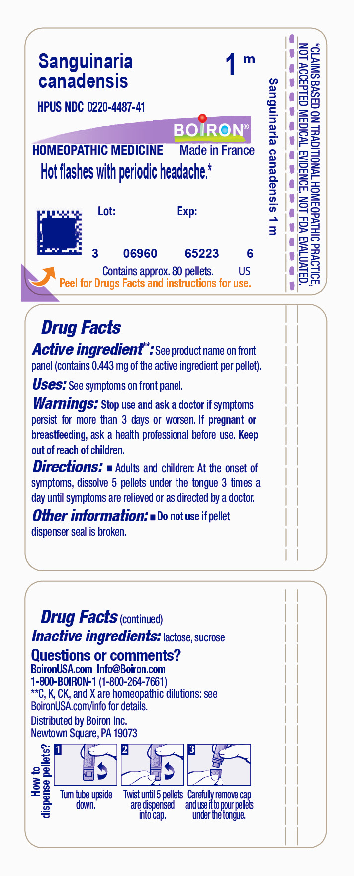 Pill image for sanguinaria canadensis 1m