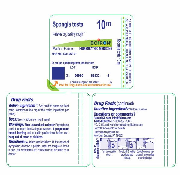 Pill image for spongia tosta 10m