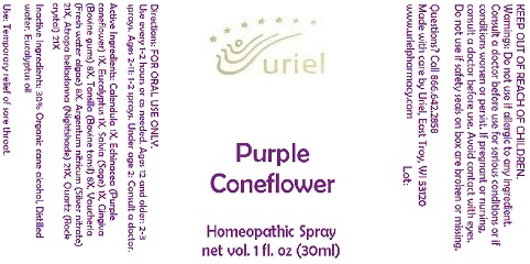 Pill image for Purple Coneflower Spray - 1 Oz.