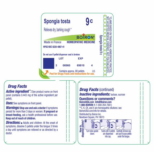 Pill image for spongia tosta 9c
