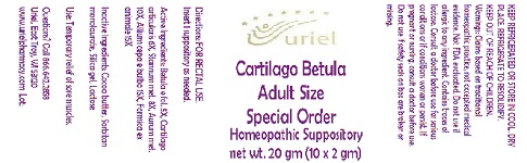 Pill image for Cartilago Betula Adult Size Special Order