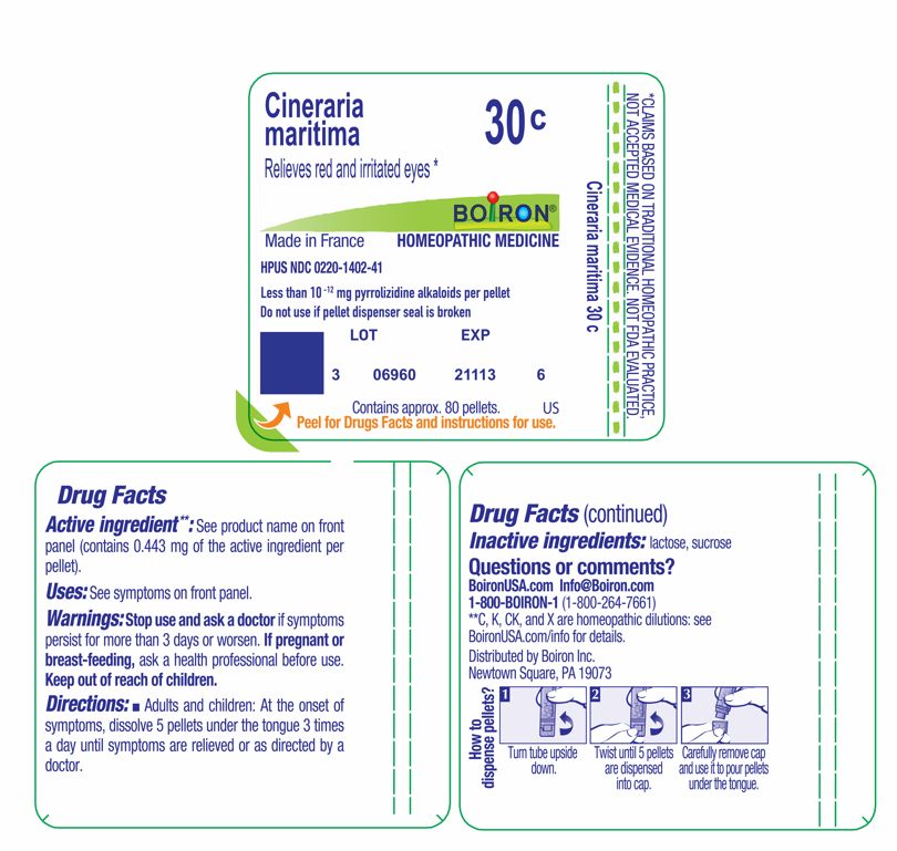 Pill image for cineraria maritima 30c