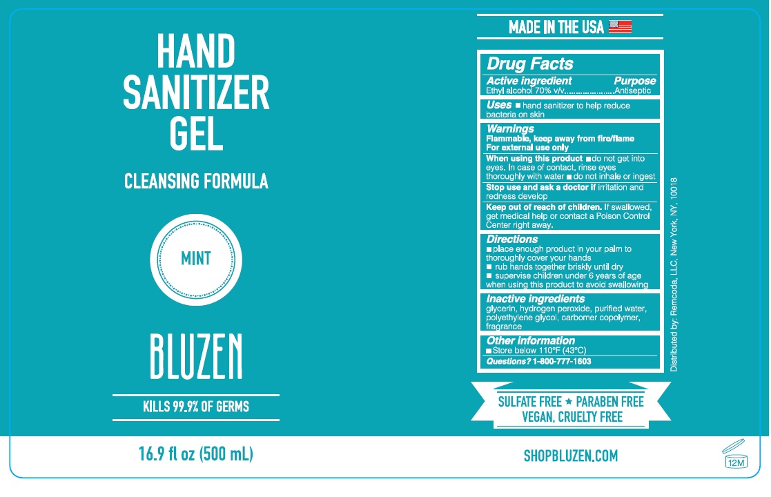 Pill image for Bluzen hand Sanitizer Gel–mint 