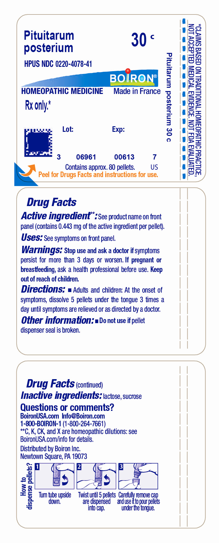 Pill image for pituitarum posterium 30c