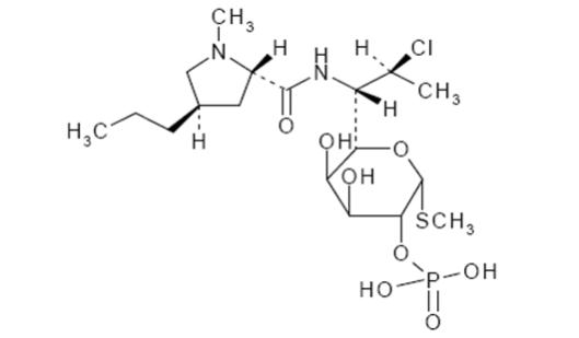 Pill image for These Highlights Do Not Include All The Information Needed To Use Clindamycin Phosphate And Benzoyl Peroxide Gel Safely And Effectively. See Full Prescribing Information For clindamycin Phosphate And Benzoyl Peroxide Gel.