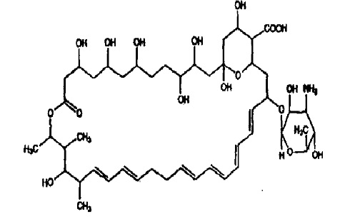 Pill image for Nystatin Oral Suspension, Usp