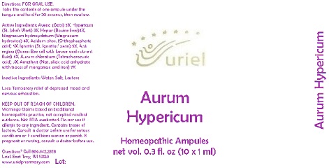 Pill image for Aurum Hypericum