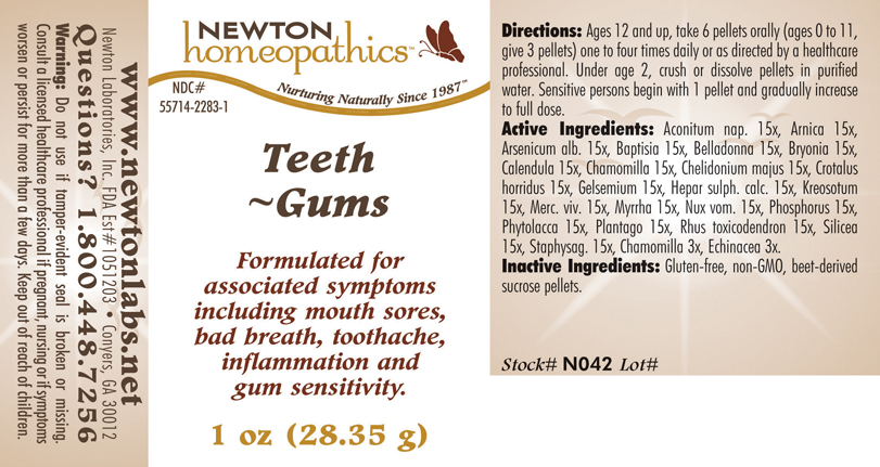Pill image for Teeth - gums