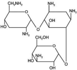 Pill image for Tobramycin Injection, Usp