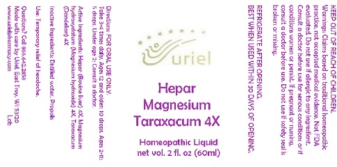Pill image for Hepar Magnesium Taraxacum 4