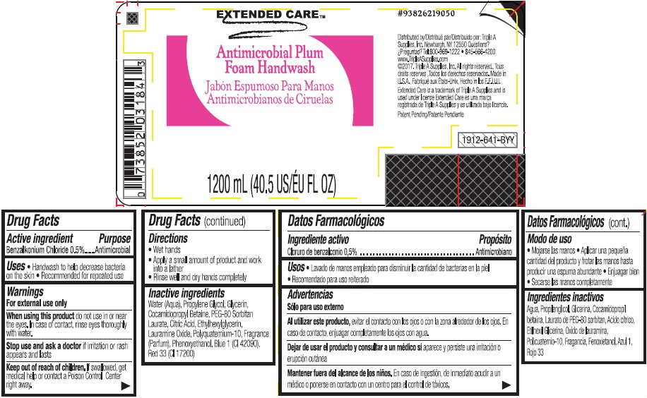 Pill image for Extended Care™ Antimicrobial Plum Foam Handwash