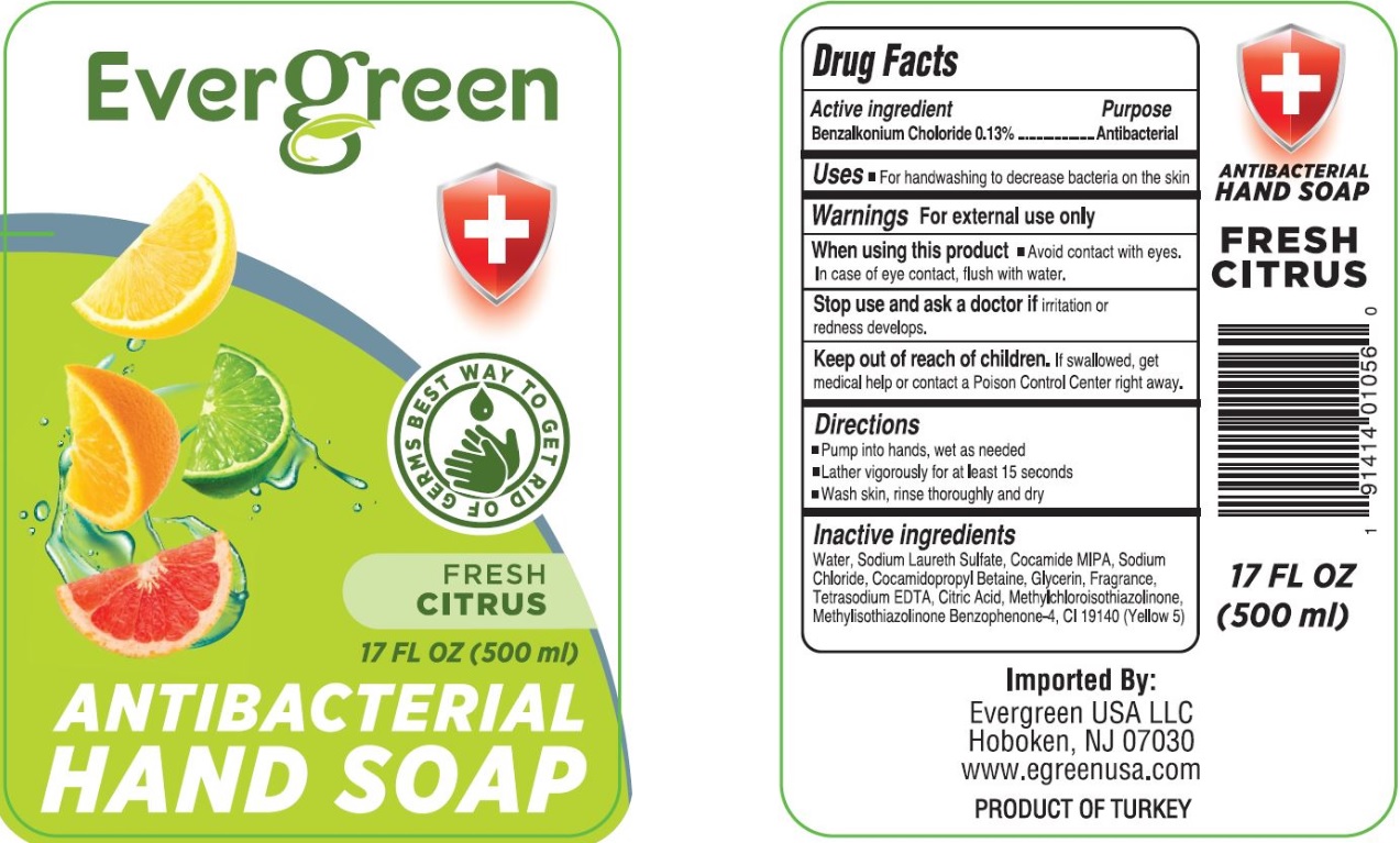 Pill image for Evergreen 