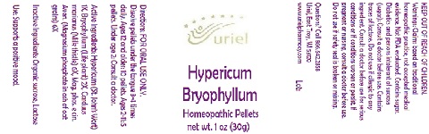 Pill image for Hypericum Bryophyllum
