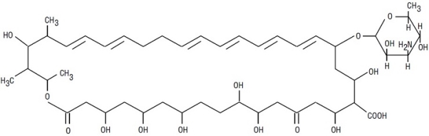 Pill image for Nystatin Ointment, Usp
