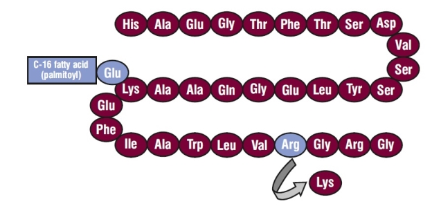 Pill image for These Highlights Do Not Include All The Information Needed To Use Liraglutide Injection Safely And Effectively. See Full Prescribing Information For Liraglutide Injection.