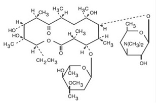 Pill image for Erythromycin Tablets, Usp