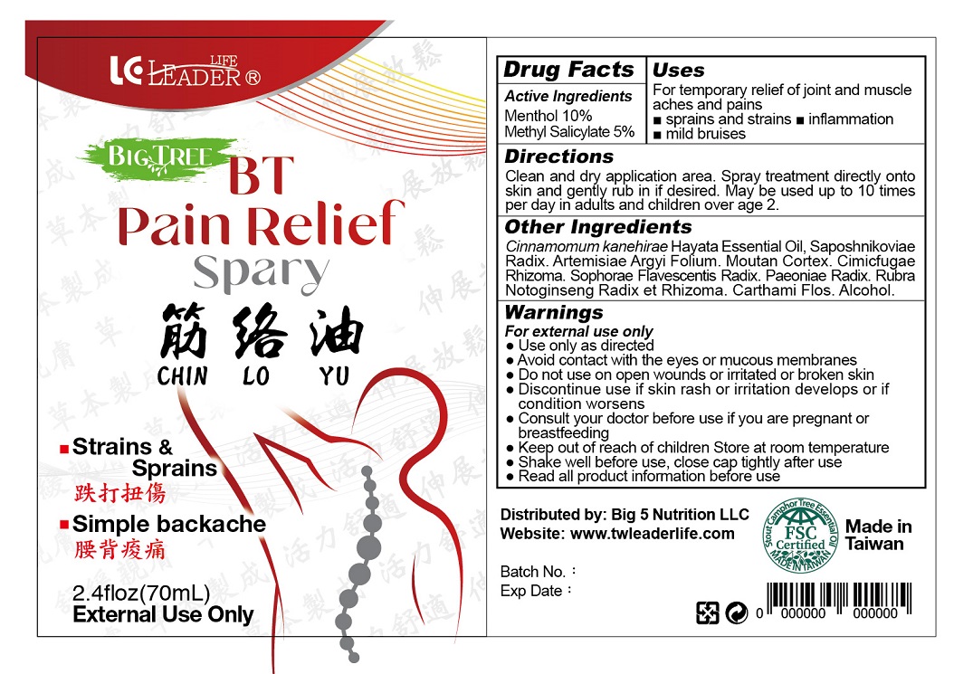 Pill image for Bt Pain Relief Spray