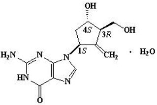 Pill image for These Highlights Do Not Include All The Information Needed To Use Entecavir Tablets Safely And Effectively. See Full Prescribing Information For Entecavir Tablets.